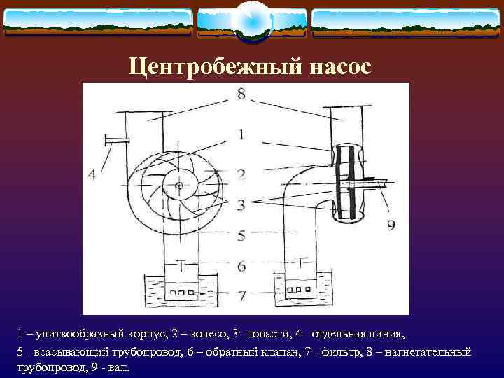 Центробежный насос 1 – улиткообразный корпус, 2 – колесо, 3 - лопасти, 4 -