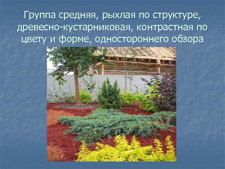 Группа средняя, рыхлая по структуре, древесно-кустарниковая, контрастная по цвету и форме, одностороннего обзора 