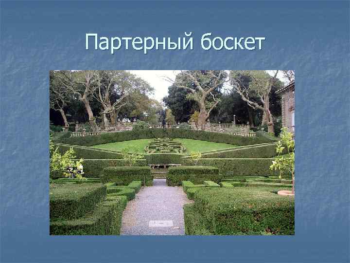 Партерный боскет 