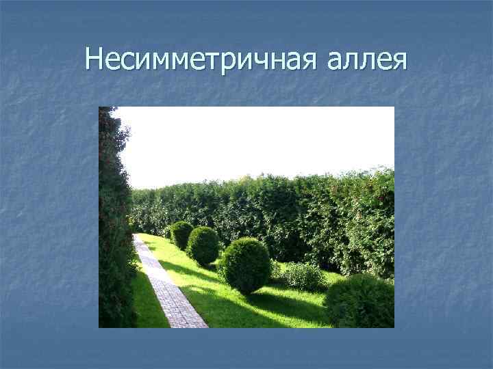 Несимметричная аллея 
