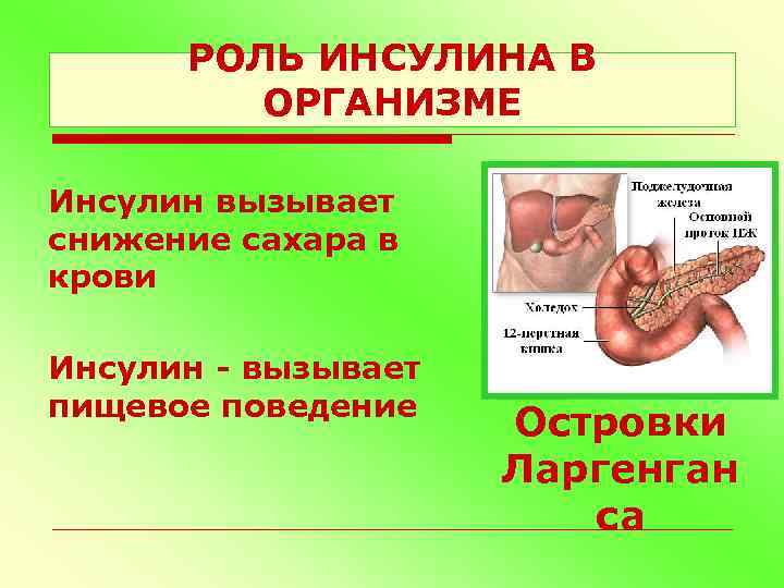 Какая железа вырабатывает инсулин. Инсулин в пищеварении. Инсулин вызывает снижение сахара в крови. Снизить уровень инсулина в организме. Инсулин в спорте презентация.