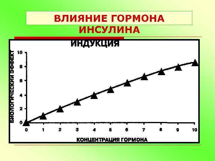 ВЛИЯНИЕ ГОРМОНА ИНСУЛИНА 