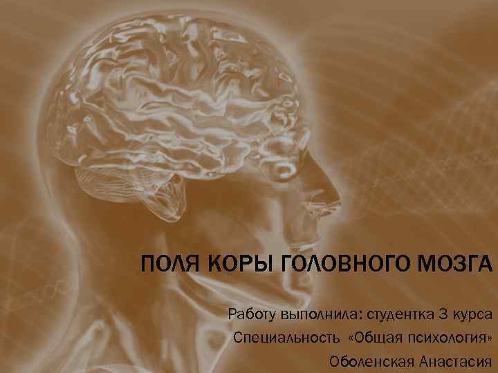 ПОЛЯ КОРЫ ГОЛОВНОГО МОЗГА Работу выполнила: студентка 3 курса Специальность «Общая психология» Оболенская Анастасия