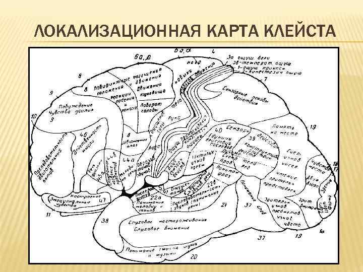 Локализационная карта клейма