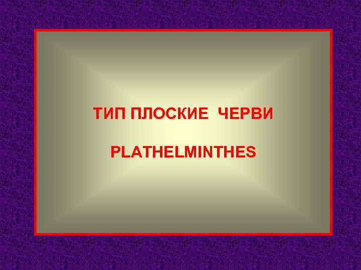 ТИП ПЛОСКИЕ ЧЕРВИ PLATHELMINTHES 