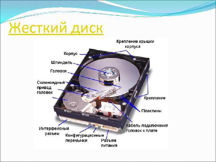 Жесткий диск 
