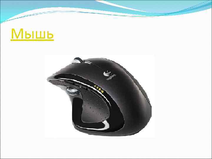 Мышь 
