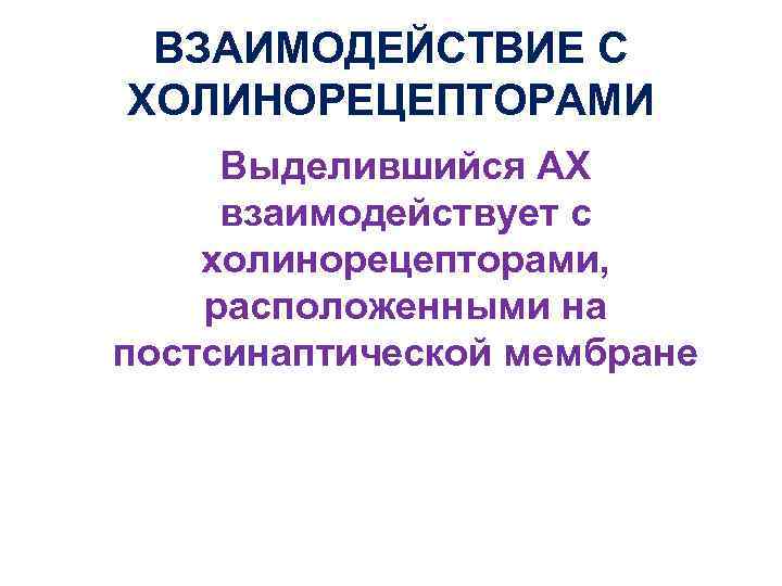 ВЗАИМОДЕЙСТВИЕ С ХОЛИНОРЕЦЕПТОРАМИ Выделившийся АХ взаимодействует с холинорецепторами, расположенными на постсинаптической мембране 