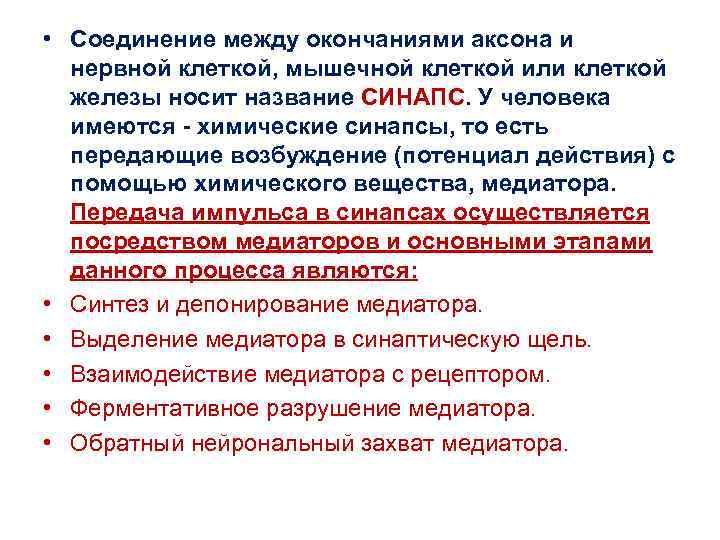  • Соединение между окончаниями аксона и нервной клеткой, мышечной клеткой или клеткой железы