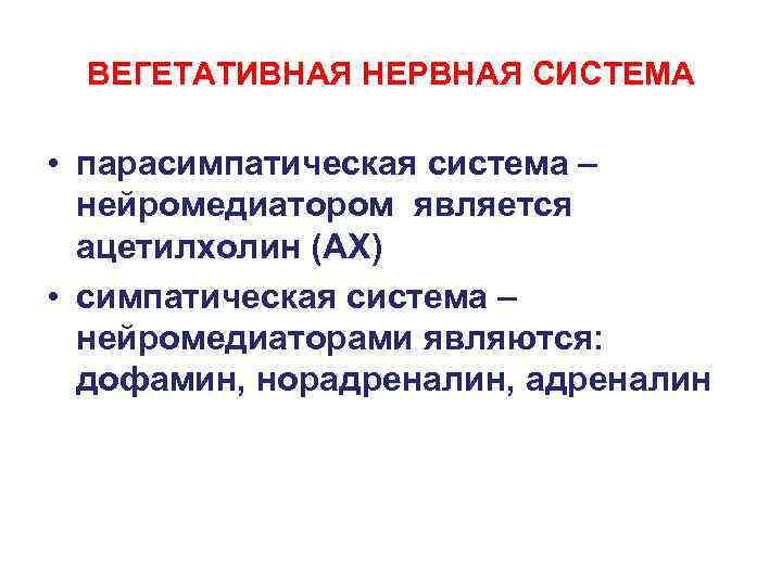 ВЕГЕТАТИВНАЯ НЕРВНАЯ СИСТЕМА • парасимпатическая система – нейромедиатором является ацетилхолин (АХ) • симпатическая система
