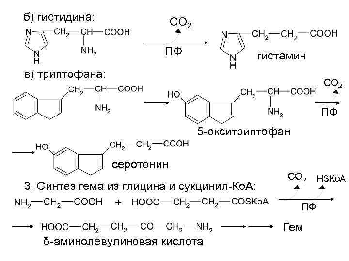 Синтез витамина б