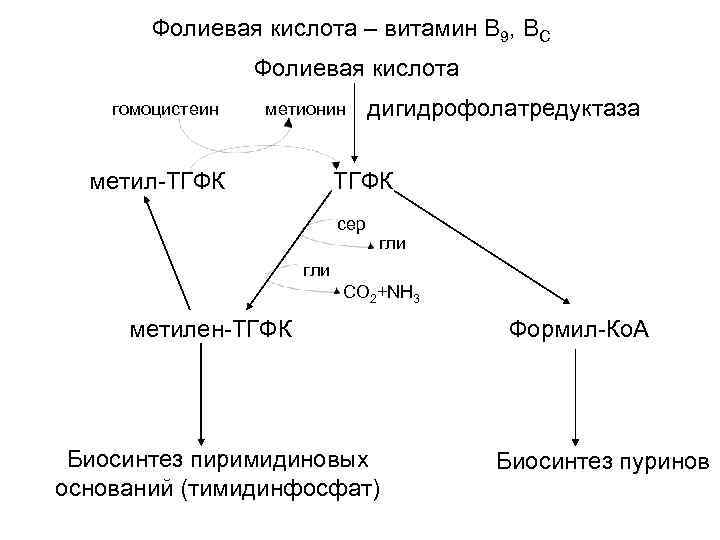 Фолиевый цикл. Функции фолиевой кислоты биохимия. Синтез фолиевой кислоты схема. Биосинтез витамина в12 схема. Механизм действия фолиевой кислоты.