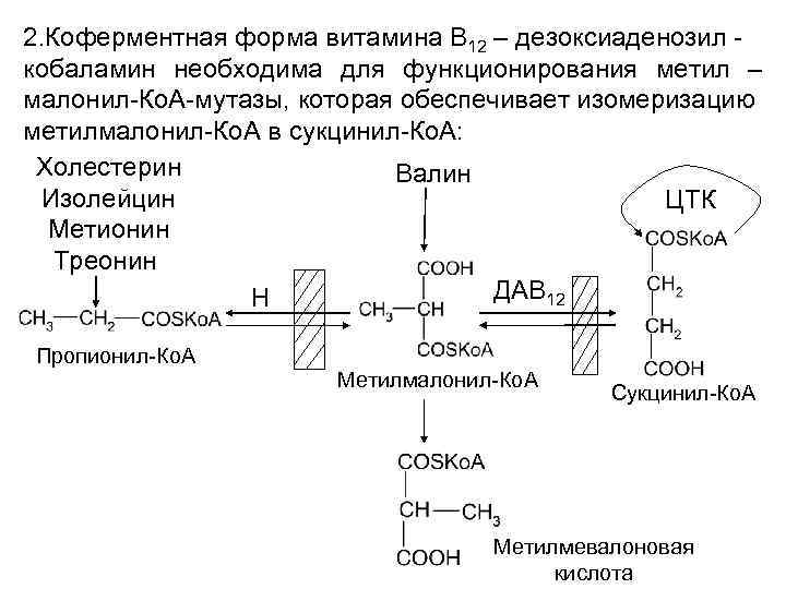 Происходит всасывание аминокислот и простых углеводов