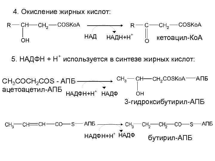Окисление жирных кислот фермент. Окисление высших жирных кислот реакции. Реакции окисления ацил-КОА до 3-кетоацил-КОА. Ключевой фермент бета окисление жирных кислот. B окисление жирных кислот биохимия.