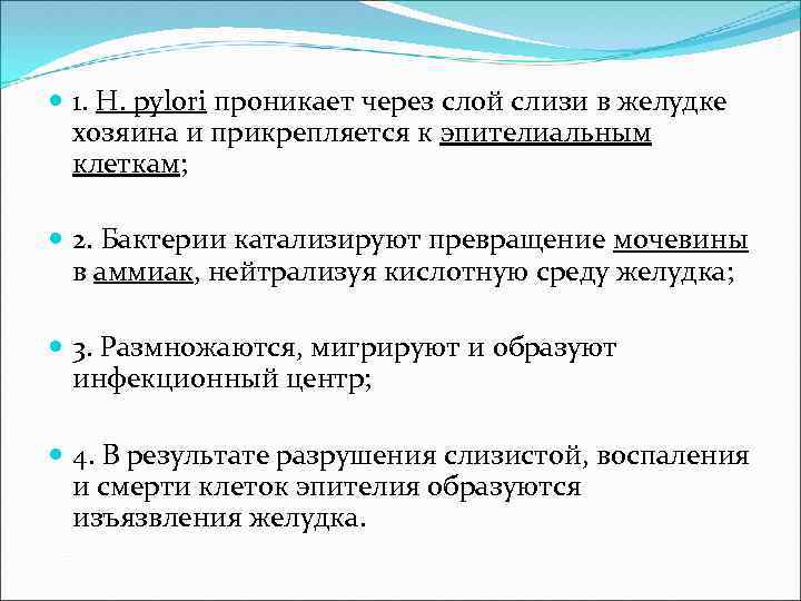  1. H. pylori проникает через слой слизи в желудке хозяина и прикрепляется к