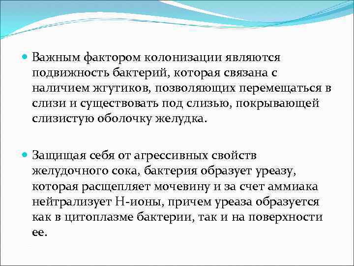  Важным фактором колонизации являются подвижность бактерий, которая связана с наличием жгутиков, позволяющих перемещаться