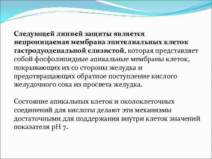 Следующей линией защиты является непроницаемая мембрана эпителиальных клеток гастродуоденальной слизистой, которая представляет собой фосфолипидные