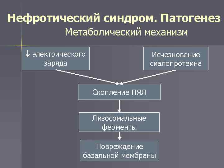 Нефротический синдром патогенез схема