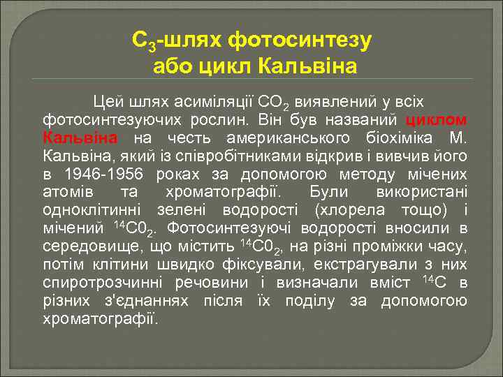С 3 -шлях фотосинтезу або цикл Кальвіна Цей шлях асиміляції СО 2 виявлений у