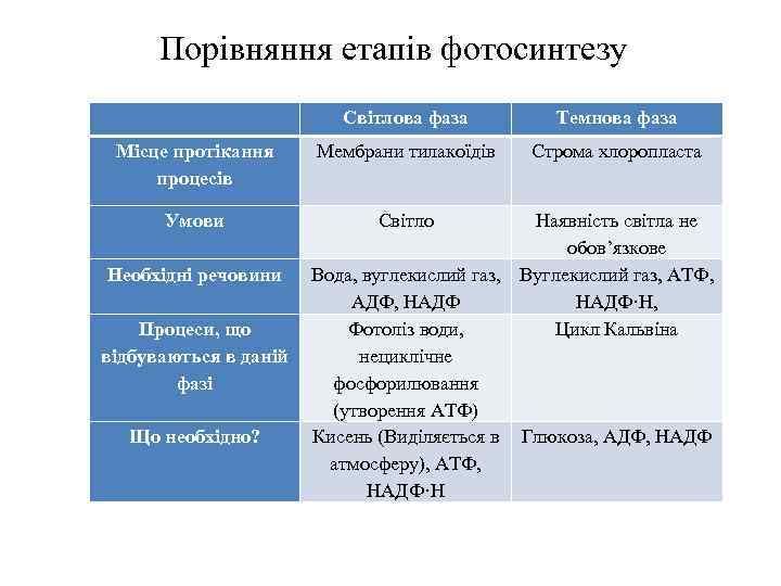 Порівняння етапів фотосинтезу Світлова фаза Темнова фаза Місце протікання процесів Мембрани тилакоїдів Строма хлоропласта