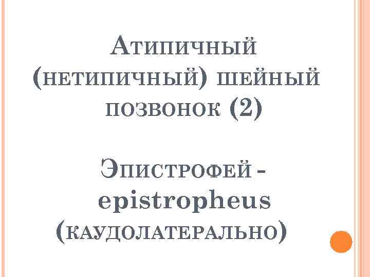 АТИПИЧНЫЙ (НЕТИПИЧНЫЙ) ШЕЙНЫЙ ПОЗВОНОК (2) ЭПИСТРОФЕЙ epistropheus (КАУДОЛАТЕРАЛЬНО) 