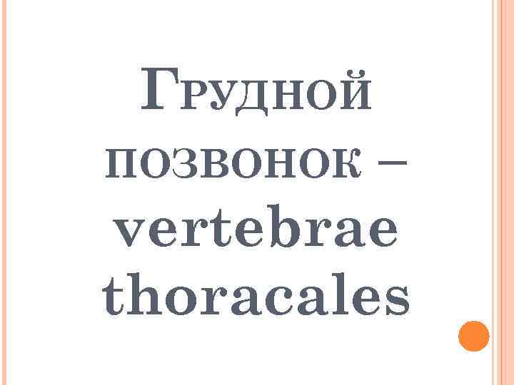 ГРУДНОЙ – vertebrae thoracales ПОЗВОНОК 