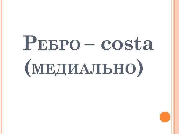 РЕБРО – costa (МЕДИАЛЬНО) 