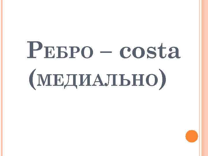 РЕБРО – costa (МЕДИАЛЬНО) 