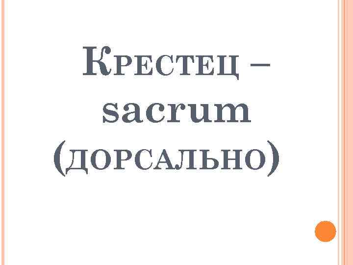 КРЕСТЕЦ – sacrum (ДОРСАЛЬНО) 