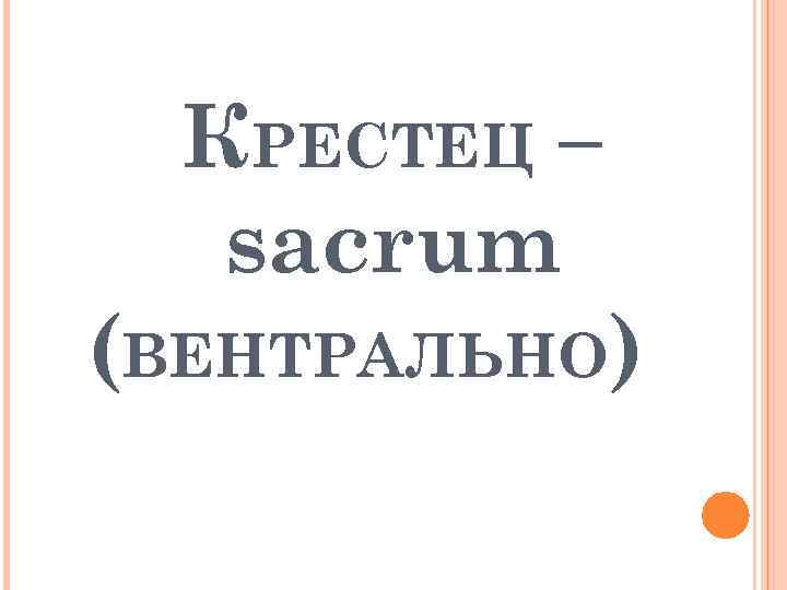 КРЕСТЕЦ – sacrum (ВЕНТРАЛЬНО) 