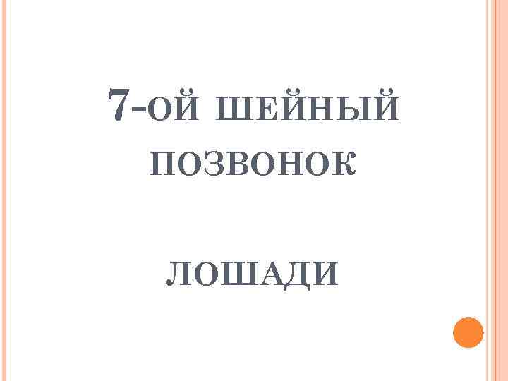 7 -ОЙ ШЕЙНЫЙ ПОЗВОНОК ЛОШАДИ 