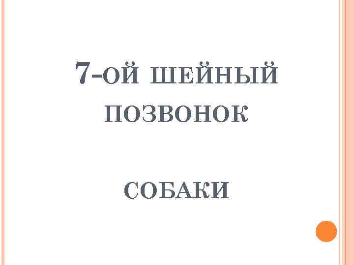 7 -ОЙ ШЕЙНЫЙ ПОЗВОНОК СОБАКИ 