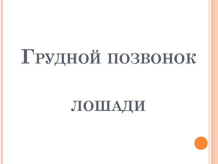 ГРУДНОЙ ПОЗВОНОК ЛОШАДИ 