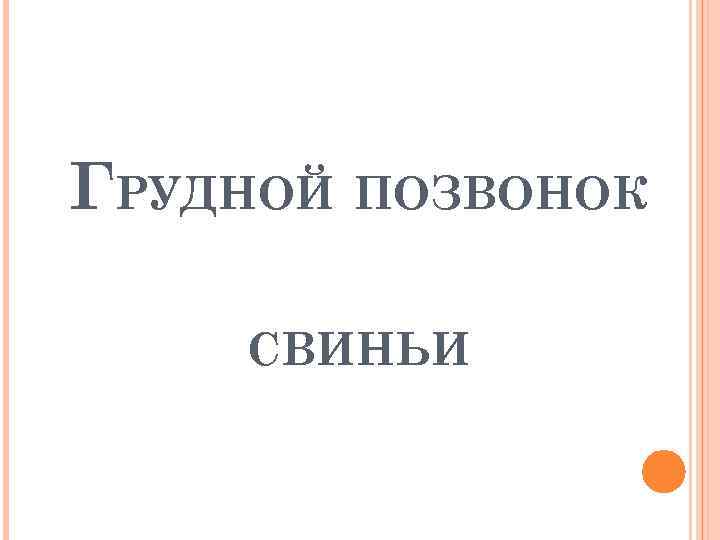 ГРУДНОЙ ПОЗВОНОК СВИНЬИ 