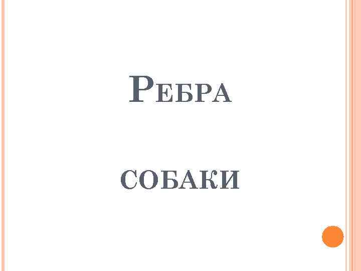 РЕБРА СОБАКИ 