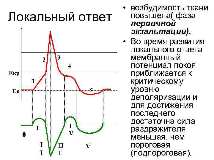 Локальный ответ 2 3 4 Екр 1 5 Ео 0 I V I II