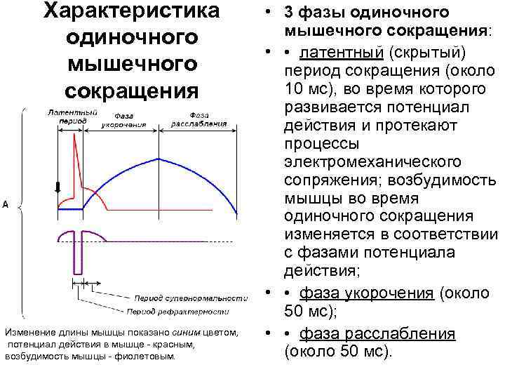 Смена сокращена