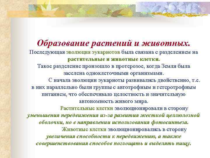 Образование растений и животных. Последующая эволюция эукариотов была связана с разделением на растительные и