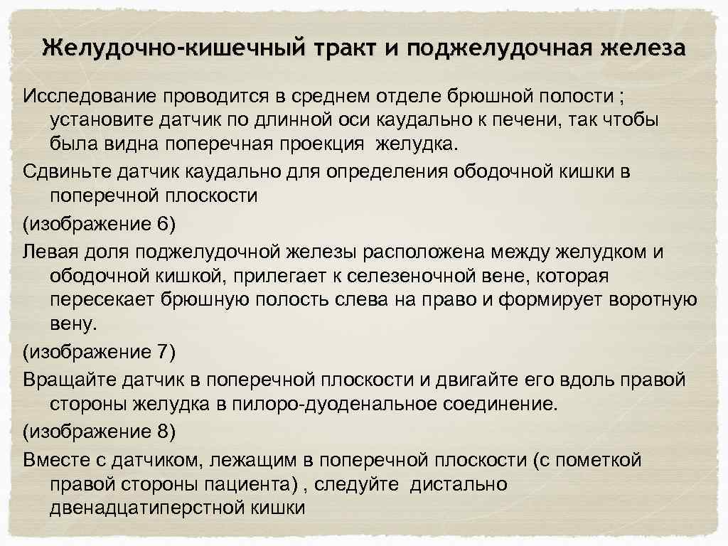 Желудочно-кишечный тракт и поджелудочная железа Исследование проводится в среднем отделе брюшной полости ; установите