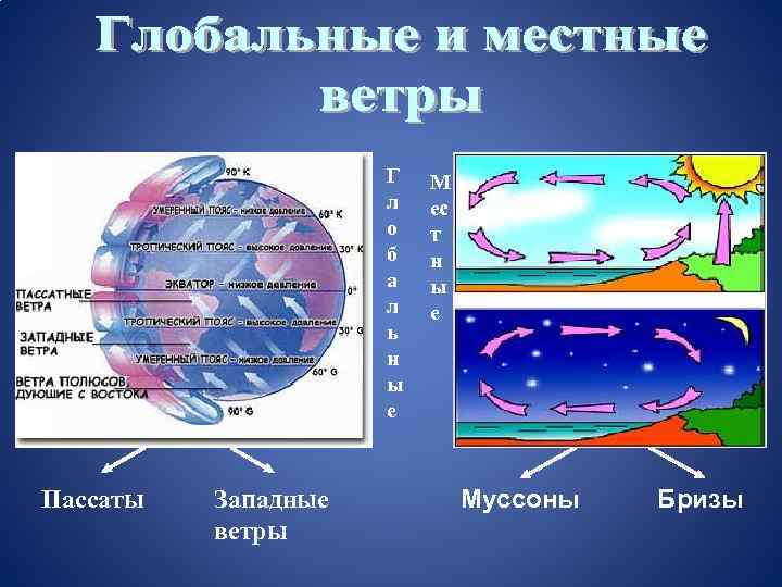 Г л о б а л ь н ы е Пассаты Западные ветры М