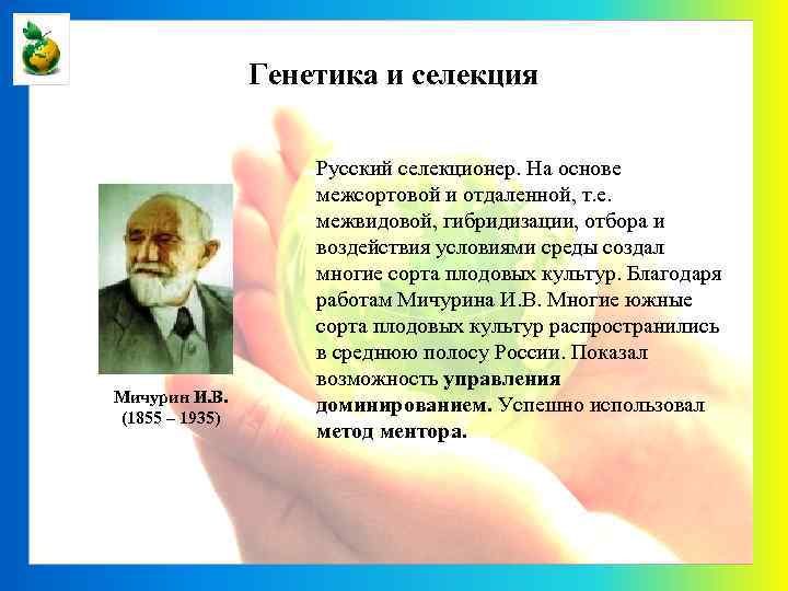 Генетика и селекция Мичурин И. В. (1855 – 1935) Русский селекционер. На основе межсортовой