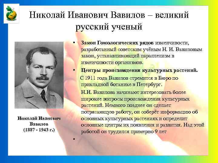 Николай Иванович Вавилов – великий русский ученый • Николай Иванович Вавилов (1887 - 1943