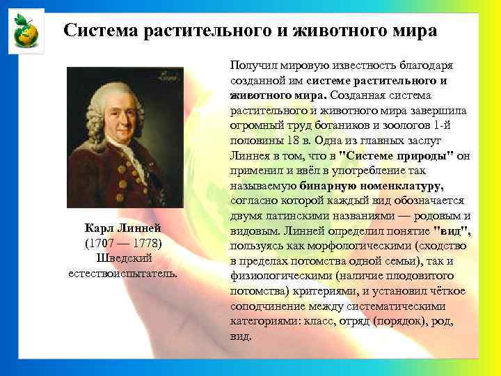 Система растительного и животного мира Карл Линней (1707 — 1778) Шведский естествоиспытатель. Получил мировую