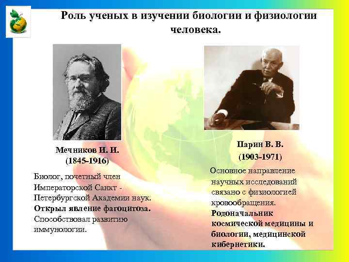 Роль ученых в изучении биологии и физиологии человека. Мечников И. И. (1845 -1916) Биолог,