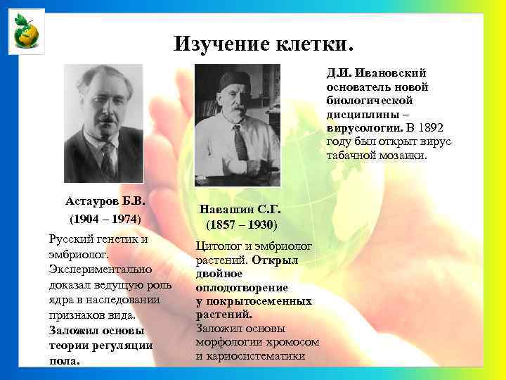 Изучение клетки. Д. И. Ивановский основатель новой биологической дисциплины – вирусологии. В 1892 году