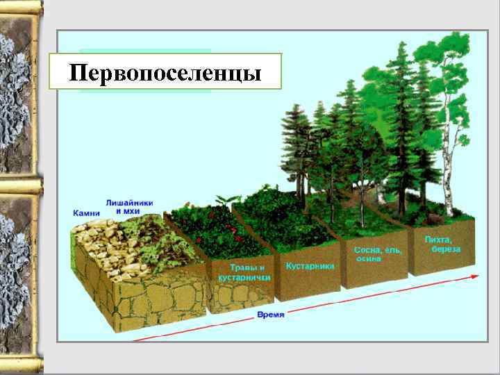 Первопоселенцы 