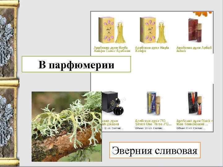 В парфюмерии Эверния сливовая 