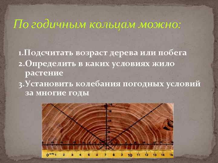 По годичным кольцам можно: 1. Подсчитать возраст дерева или побега 2. Определить в каких