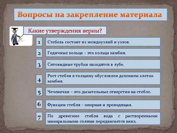 Вопросы на закрепление материала Какие утверждения верны? 1 Стебель состоит их междоузлий и узлов.