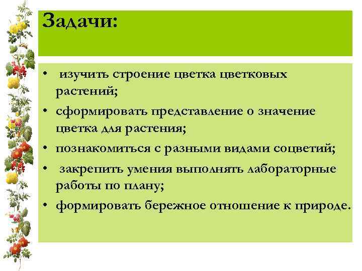 Задачи: • изучить строение цветка цветковых растений; • сформировать представление о значение цветка для